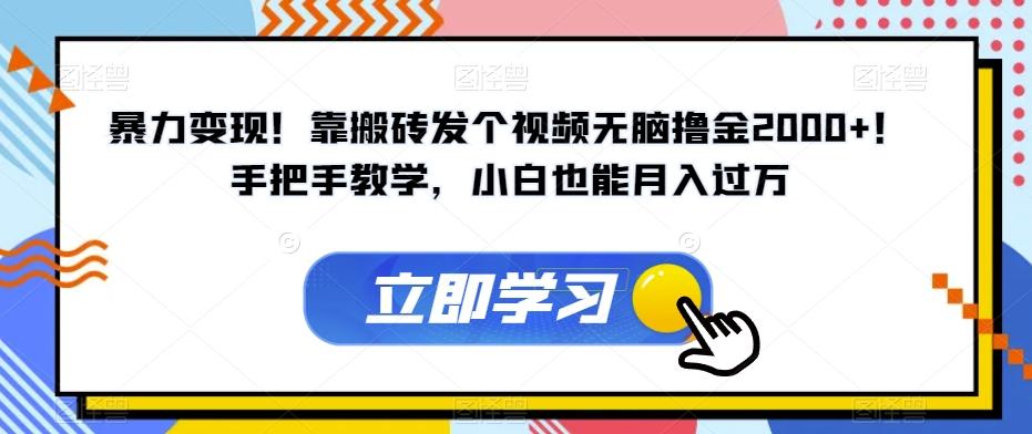 暴力变现！靠搬砖发个视频无脑撸金2000+！手把手教学，小白也能月入过万【揭秘】-翻身站