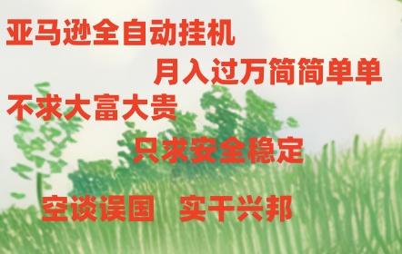 亚马逊全自动浏览挂机，，收益稳定且前景广阔-翻身站