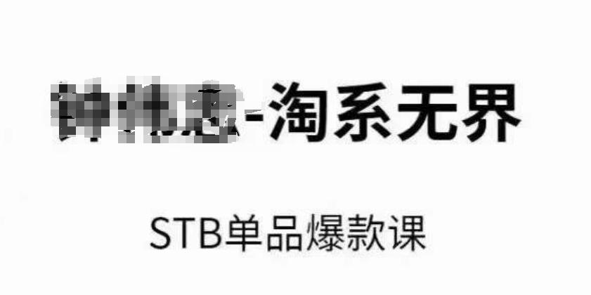 淘系无界STB单品爆款课(2024)，付费带动免费的核心逻辑，万相台无界关键词推广/精准人群的核心-翻身站