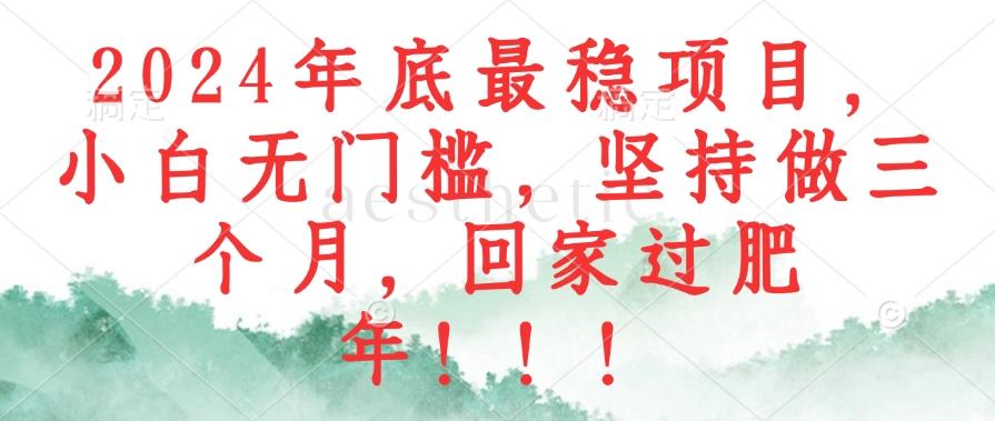2024年底最稳项目，小白无门槛，坚持做三个月，回家过肥年！！！-翻身站