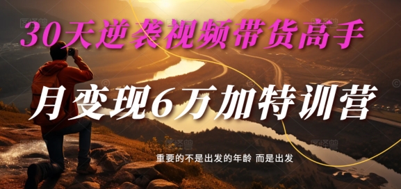 30天逆袭视频带货高手，单月变现6万加特训营-麦子甜-翻身站