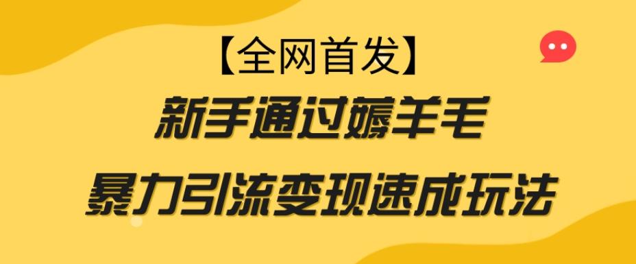 【全网首发】新手通过薅羊毛暴力引流变现速成玩法-翻身站