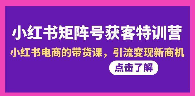 小红书-矩阵号获客特训营-第10期，小红书电商的带货课，引流变现新商机-翻身站