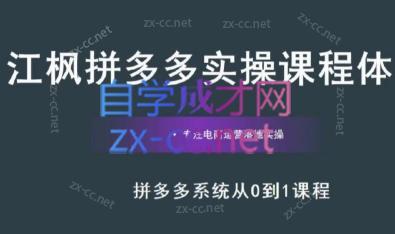 江枫老师·拼多多实操课程-翻身站