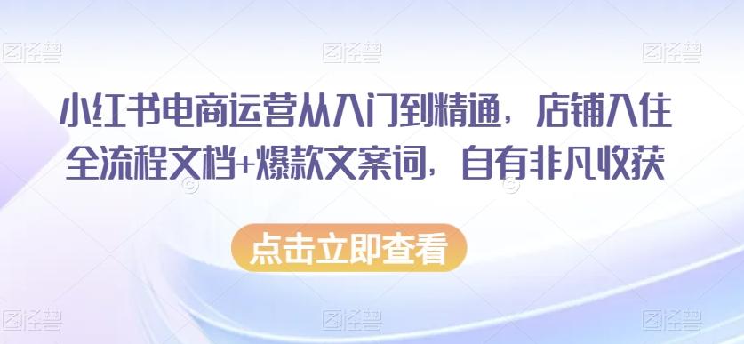 小红书电商运营从入门到精通，店铺入住全流程文档+爆款文案词，自有非凡收获-翻身站