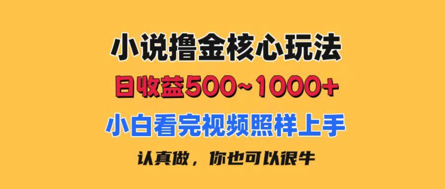 小说撸金核心玩法，日收益500-1000+，小白看完照样上手，0成本有手就行-翻身站