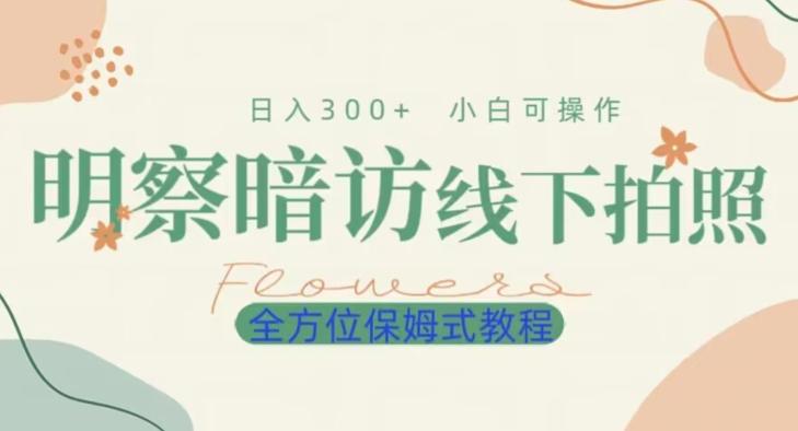 明拍暗拍项目0成本投入日入300+小白可操作保姆式全方位教程-翻身站