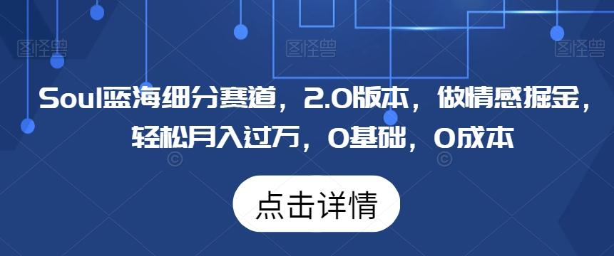 Soul蓝海细分赛道，2.0版本，做情感掘金，轻松月入过万，0基础，0成本-翻身站