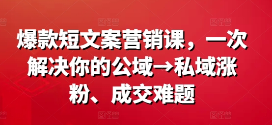 爆款短文案营销课，一次解决你的公域→私域涨粉、成交难题-翻身站