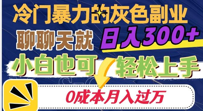 冷门暴利的副业项目，聊聊天就能日入300+，0成本月入过万【揭秘】-翻身站