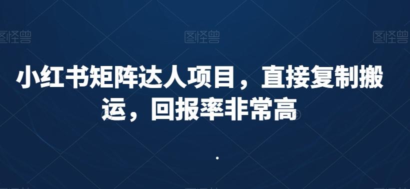 小红书矩阵达人项目，直接复制搬运，回报率非常高-翻身站