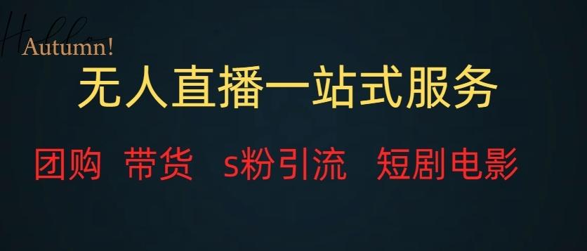 无人直播一站式服务（教程以及变现方式）-翻身站