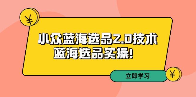 拼多多培训第33期：小众蓝海选品2.0技术-蓝海选品实操！-翻身站