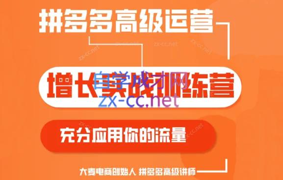 大麦老师·拼多多单品爆款打造课程(更新6月)-翻身站