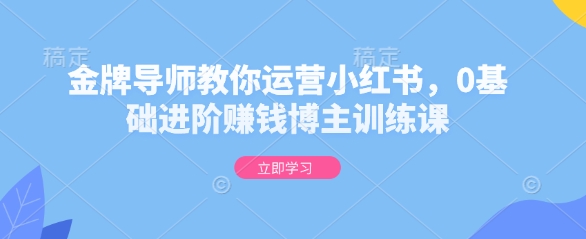 金牌导师教你运营小红书，0基础进阶赚钱博主训练课-翻身站