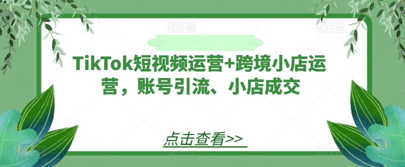 TikTok短视频运营+跨境小店运营，账号引流、小店成交-翻身站