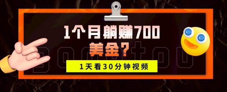 1天看30分钟视频，1个月躺赚700美金？-翻身站