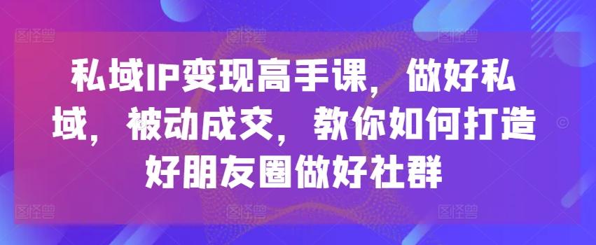 私域IP变现高手课，做好私域，被动成交，教你如何打造好朋友圈做好社群-翻身站
