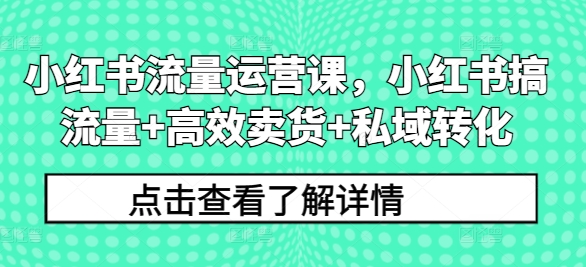 小红书流量运营课，小红书搞流量+高效卖货+私域转化-翻身站
