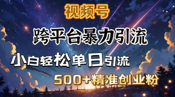 跨平台暴力引流，私域完美闭环，日引500+精准创业粉-翻身站