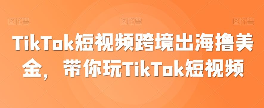 TikTok短视频跨境出海撸美金，带你玩TikTok短视频-翻身站