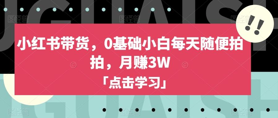 小红书带货，0基础小白每天随便拍拍，月赚3W【揭秘】-翻身站
