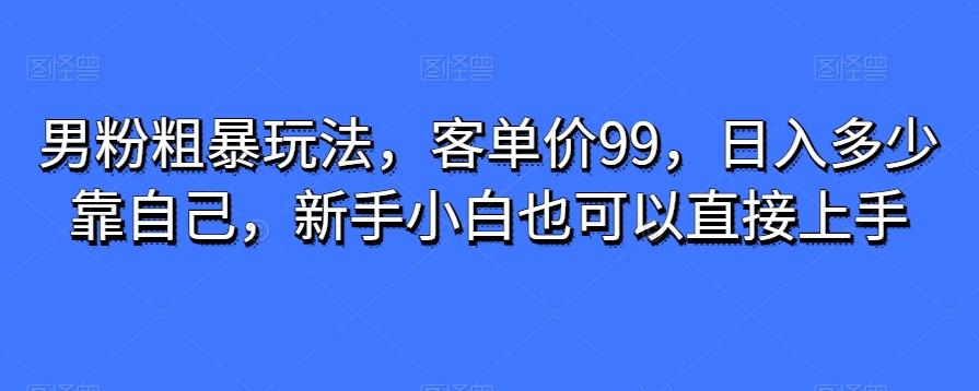 男粉粗暴玩法，客单价99，日入多少靠自己，新手小白也可以直接上手-翻身站