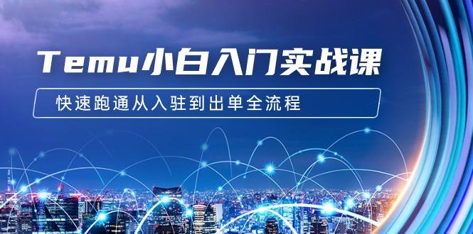 (9295期)Temu小白入门实战课：跨境拼多多电商培训 快速跑通从入驻到出单全流程-12节-翻身站