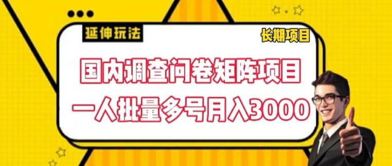 国内调查问卷矩阵项目，一人批量多号月入3000【揭秘】-翻身站