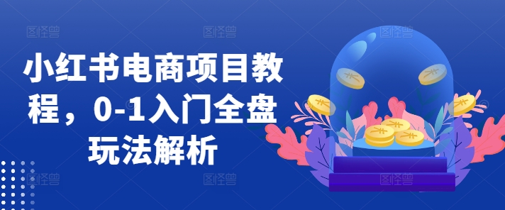 小红书电商项目教程，0-1入门全盘玩法解析-翻身站