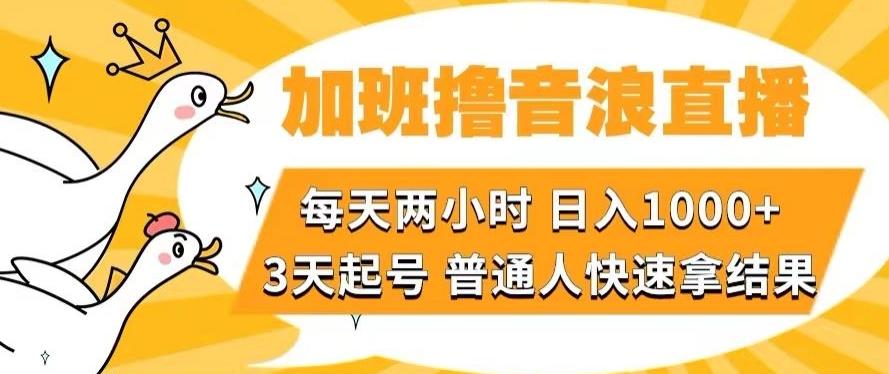 加班撸音浪直播，每天两小时，日入1000+，直播话术才3句，3天起号，普通人快速拿结果【揭秘】-翻身站