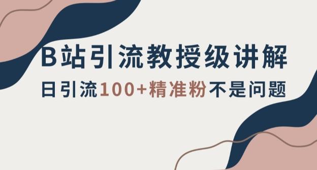 B站引流教授级讲解，细节满满，日引流100+精准粉不是问题【揭秘】-翻身站