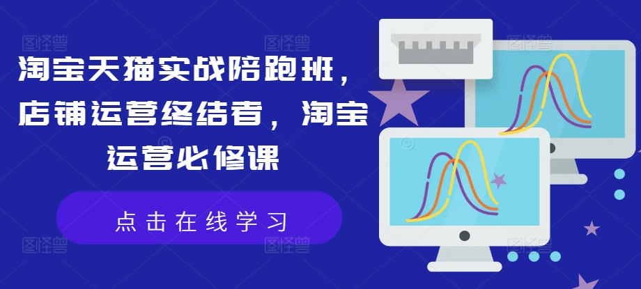 淘宝天猫实战陪跑班，店铺运营终结者，淘宝运营必修课-翻身站