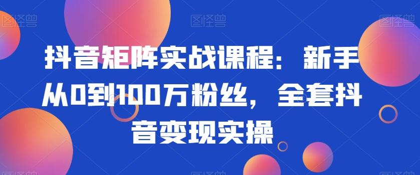 抖音矩阵实战课程：新手从0到100万粉丝，全套抖音变现实操-翻身站