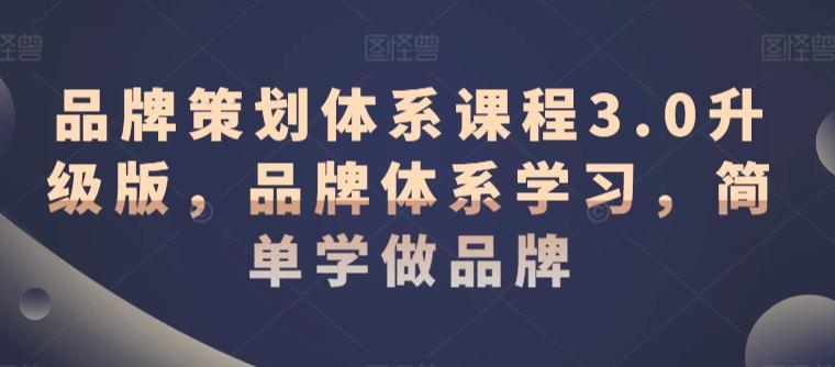 品牌策划体系课程3.0升级版，品牌体系学习，简单学做品牌-翻身站