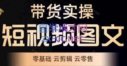 鑫哥·2024零基础短视频带货实操营-翻身站