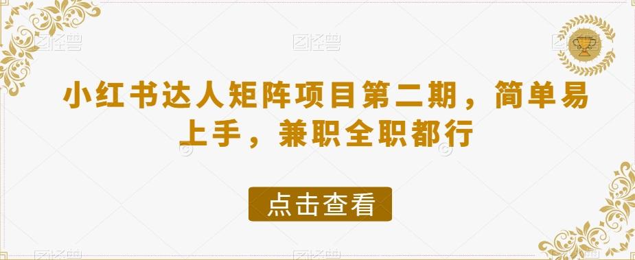 小红书达人矩阵项目第二期，简单易上手，兼职全职都行-翻身站