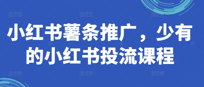 小红书薯条推广，少有的小红书投流课程-翻身站