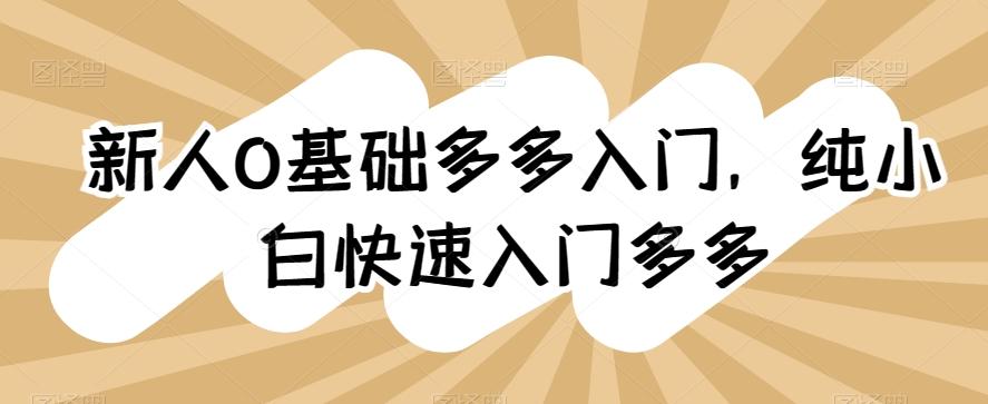 新人0基础多多入门，​纯小白快速入门多多-翻身站