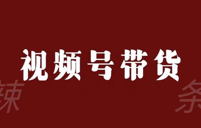 视频号带货联盟，赚信息差的带货钱，只需手机随时随地都可以做！-翻身站