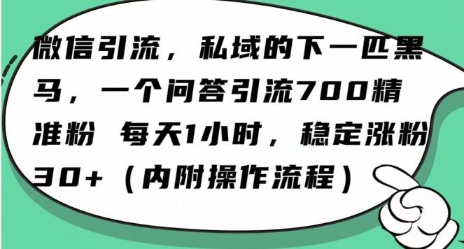 怎么搞精准创业粉？微信新赛道，每天一小时，利用Ai一个问答日引100精准粉-翻身站