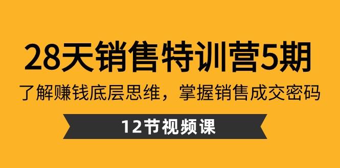 28天销售特训营5期：了解赚钱底层思维，掌握销售成交密码（12节课）-翻身站