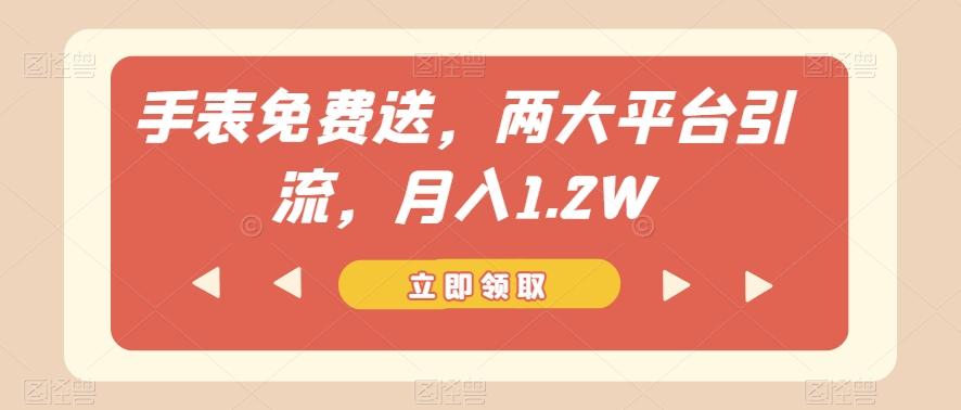 手表免费送，两大平台引流，月入1.2W【揭秘】-翻身站