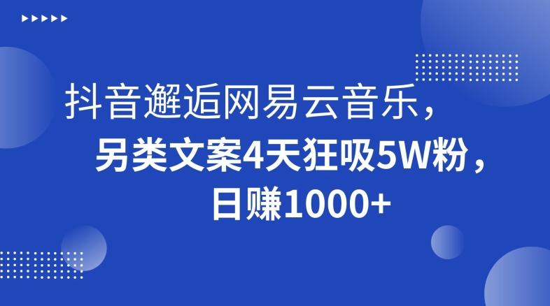 抖音邂逅网易云音乐，另类文案4天狂吸5W粉，日赚1000+【揭秘】-翻身站