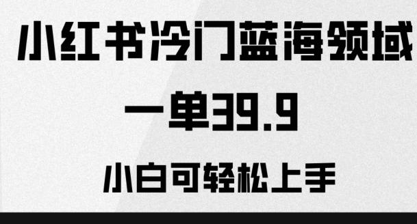 小红书冷门蓝海领域，一单39.9，小白可轻松上手-翻身站