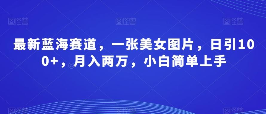 最新蓝海赛道，一张美女图片，日引100+，月入两万，小白简单上手-翻身站