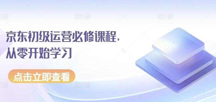 京东初级运营必修课程，从零开始学习-翻身站
