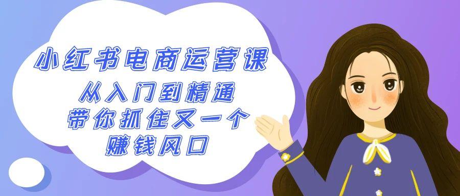 2024小红书电商运营课，从入门到精通，带你抓住又一个赚钱风口(50节课)-翻身站
