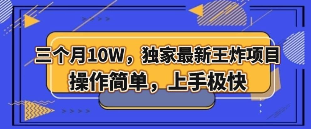 三个月10W，独家最新王炸项目！操作简单，上手极快【揭秘】-翻身站