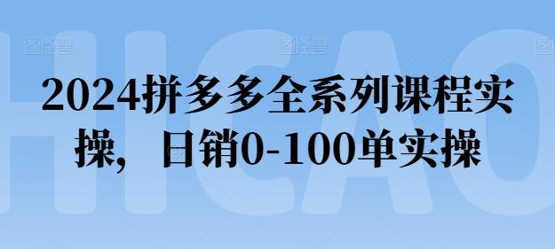 2024拼多多全系列课程实操，日销0-100单实操【必看】-翻身站